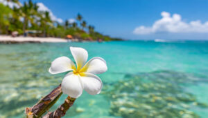 isole hawaii