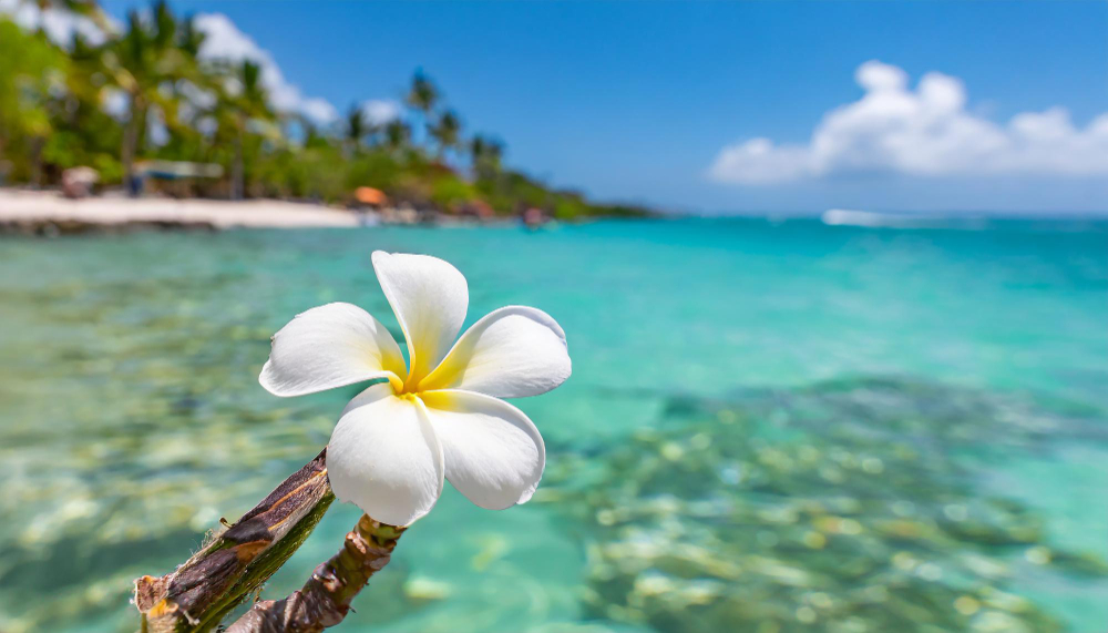 isole hawaii